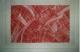 celium, rot2 - georg gensler - Aquarell auf Papier - Abstrakt - Klassisch celium, rot2 - georg gensler - Aquarell auf Papier - Abstrakt - Klassisch