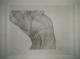 celium torso - georg gensler - auf - Akt - celium torso - georg gensler - auf - Akt -