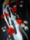 Flowers for YOU - Reiner Poser - - auf Papier-Leinwand - Stillleben-Mohn - Flowers for YOU - Reiner Poser - - auf Papier-Leinwand - Stillleben-Mohn -