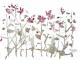 Heisser Sommer - Reiner Poser - Aquarell auf Papier - Blumen-Sommer - Abstrakt Heisser Sommer - Reiner Poser - Aquarell auf Papier - Blumen-Sommer - Abstrakt