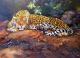 Leopard - Natalia Bastrykina - Ãl auf - Tiere - Realismus Leopard - Natalia Bastrykina - Ãl auf - Tiere - Realismus