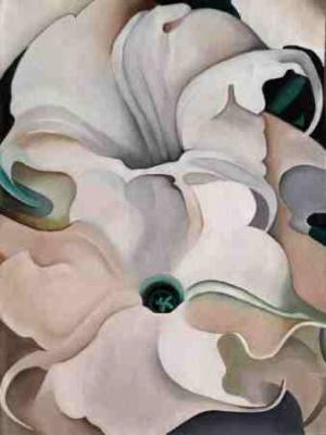 Afrikanische Lilie - KingsArt - auf - Array - Afrikanische Lilie - KingsArt - auf - Array -