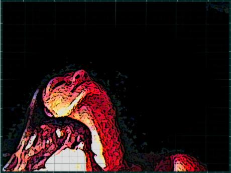 retrato 230 - Orfeu de SantaTeresa - Array auf Array - Array - retrato 230 - Orfeu de SantaTeresa - Array auf Array - Array -