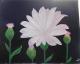Blume violett/lila - faridi - Acryl auf Leinwand - Sonstiges-Blumen - Blume violett/lila - faridi - Acryl auf Leinwand - Sonstiges-Blumen -