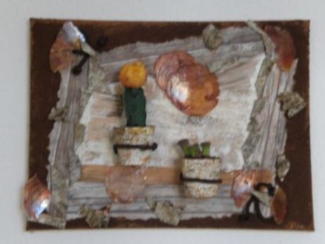 Kakteen - f-i-w - Array auf Array - Array - Kakteen - f-i-w - Array auf Array - Array -