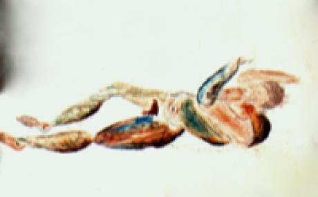 Wiener Akt - Tin - Array auf Array - Array - Wiener Akt - Tin - Array auf Array - Array -