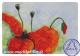 Mohn (2010) - Angelika Hiller - Aquarell auf Papier - Sonstiges-Mohn - 