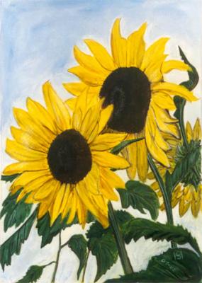 Sonnenblumen -Susanne-Vera Hucke- - Susanne-Vera Hucke -  auf Array - Array - 