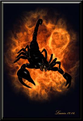 Black Scorpio (2004) Laurin -  Laurin -  auf  - Array - 