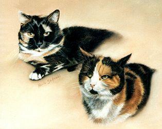 Katzen-Duo  - Karin Schnabl - Karin Schnabl - Array auf Array - Array - 