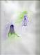 tender fairies - Natalija Borovec - Aquarell auf Papier - Sonstiges - Surrealismus tender fairies - Natalija Borovec - Aquarell auf Papier - Sonstiges - Surrealismus