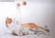 Katzen-Ball (1993) Janette Herlinger - Janette Herlinger - Pastell-Kohle auf Papier - Sonstiges-Katzen - 