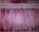 Red Blur - Ada Ventus - auf - Abstrakt - Red Blur - Ada Ventus - auf - Abstrakt -