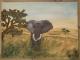 -Afrika-Elefant- - c. lemke - auf Leinwand - Elefanten-Landschaft-Stillleben - Fotorealismus-Naturalismus -Afrika-Elefant- - c. lemke - auf Leinwand - Elefanten-Landschaft-Stillleben - Fotorealismus-Naturalismus