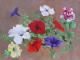 bunte Petunien - Wilma Schumann - Acryl auf Leinwand - - Fotorealismus bunte Petunien - Wilma Schumann - Acryl auf Leinwand - - Fotorealismus