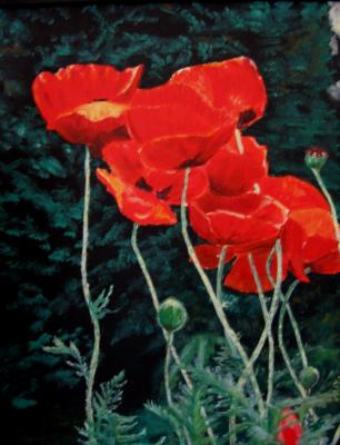 roter Mohn - Karin Foellmer - Array auf Array - Array - 