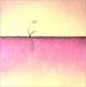 KEEP_IN_MIND_BOARD 3 - Markus Sapel - Aquarell-Pastell auf Hartfaser-Leichtstoffplatte - Blumen-Hoffnung-Liebe-Sehnsucht-StÃ¤rke-Zuneigung - Symbolismus