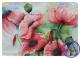 Mohn - Angelika Hiller - Aquarell auf Karton - Natur - 