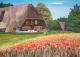 Schwarzwald - Ulrike Mahler - Acryl auf Leinwand - Landschaft - 