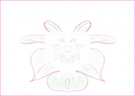 Blumenspiegelkabinett - Susann Mueller - Array auf  - Array - 