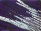 --- - Andras Knapik - -Acryl auf - Abstrakt - Abstrakt --- - Andras Knapik - -Acryl auf - Abstrakt - Abstrakt