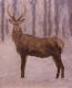 Hirsch - Vladi Baum - Ãl auf Karton - Wildtiere - Hirsch - Vladi Baum - Ãl auf Karton - Wildtiere -