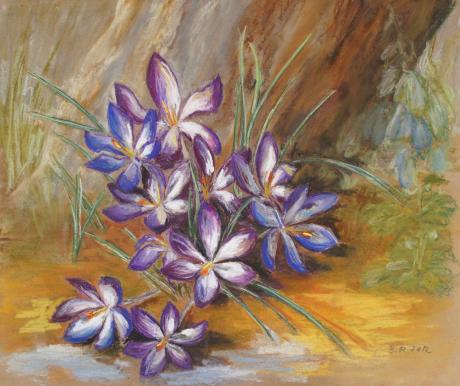 Krokusse unter meinem alten Apfelbaum - Barbara Pommerenke - Array auf Array - Array - Array Krokusse unter meinem alten Apfelbaum - Barbara Pommerenke - Array auf Array - Array - Array