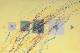 Wegspuren in gelb - Maritta Sorg - Acryl auf  - Abstrakt - Abstrakt