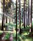 Springtime - Rebecca Tecla - Ãl auf - Natur - Springtime - Rebecca Tecla - Ãl auf - Natur -