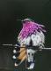 Bird 1 - Rebecca Tecla - Ãl auf - Sonstiges - Bird 1 - Rebecca Tecla - Ãl auf - Sonstiges -