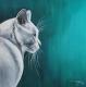 Cat n.2 - Rebecca Tecla - Ãl auf - Sonstiges - Cat n.2 - Rebecca Tecla - Ãl auf - Sonstiges -
