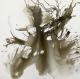 Wirr - Anja Jung - Mischtechnik auf Leinwand - Abstrakt - Abstrakt-ActionPainting-Expressionismus Wirr - Anja Jung - Mischtechnik auf Leinwand - Abstrakt - Abstrakt-ActionPainting-Expressionismus