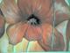 roter Mohn - Ursula Langa - Acryl auf Leinwand - Mohn - Naturalismus