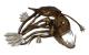 Anglerfisch - Alfapunkt MastroGianni - Metall-Holz auf - Fische-Sonstiges - Anglerfisch - Alfapunkt MastroGianni - Metall-Holz auf - Fische-Sonstiges -
