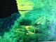 wald - Sharasee 62 - Acryl auf Karton - Abstrakt - Abstrakt wald - Sharasee 62 - Acryl auf Karton - Abstrakt - Abstrakt