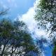 Farbenspiel der Natur - L.M. G. - auf - Bäume-Himmel-Wolken - Farbenspiel der Natur - L.M. G. - auf - Bäume-Himmel-Wolken -