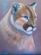 Puma--- - Jacqueline Scheib - Pastell auf Papier -  - 