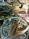 Das Rad der Fortuna - Konstantin Avdeev - Drucke-Illustration-DigitaleKunst auf - Fantastisch-Menschen-Mystik-Natur-Gefühle - Das Rad der Fortuna - Konstantin Avdeev - Drucke-Illustration-DigitaleKunst auf - Fantastisch-Menschen-Mystik-Natur-Gefühle -