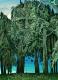 Der Waldgeist - Konstantin Avdeev - DigitaleKunst auf - Fantastisch-Bäume-Wald - Der Waldgeist - Konstantin Avdeev - DigitaleKunst auf - Fantastisch-Bäume-Wald -