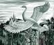 Heimkehr - Konstantin Avdeev - Drucke-DigitaleKunst auf - Vögel-Himmel-Morgen - Heimkehr - Konstantin Avdeev - Drucke-DigitaleKunst auf - Vögel-Himmel-Morgen -