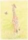 Baby-Giraffe - Claudia LÃ¼thi - Farbstift auf  - Wildtiere - 