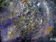 ---miracle in the universe - Wyss - Acryl auf Leinwand - Abstrakt - Abstrakt ---miracle in the universe - Wyss - Acryl auf Leinwand - Abstrakt - Abstrakt