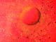 Rote Kugel - Sandra Maertens - Acryl auf Pappe - Sonstiges - Abstrakt Rote Kugel - Sandra Maertens - Acryl auf Pappe - Sonstiges - Abstrakt